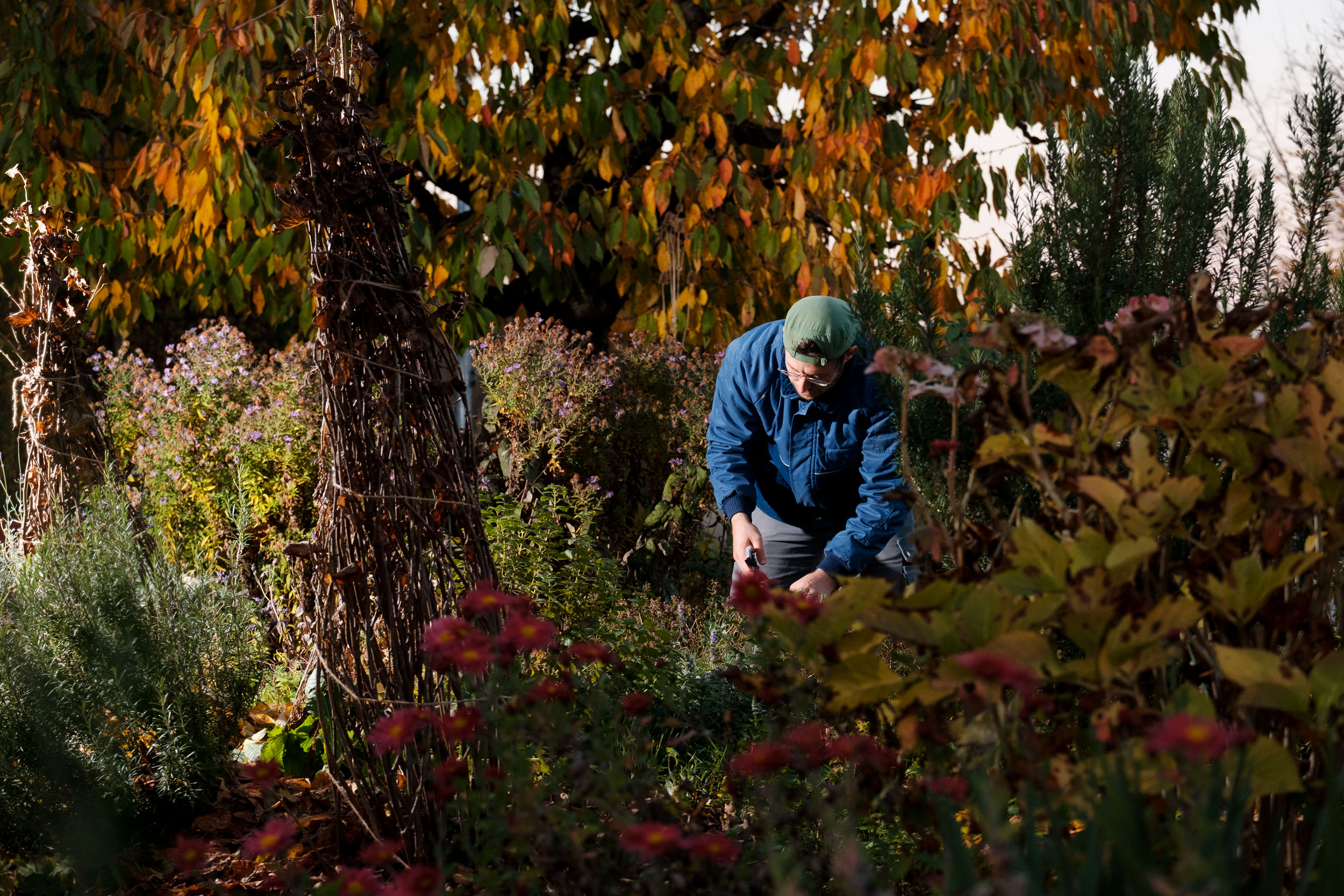 Christian Studer Gartennatur in den Rabatten