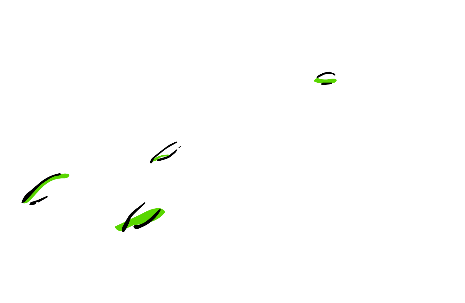 Christian Studer Gartennatur